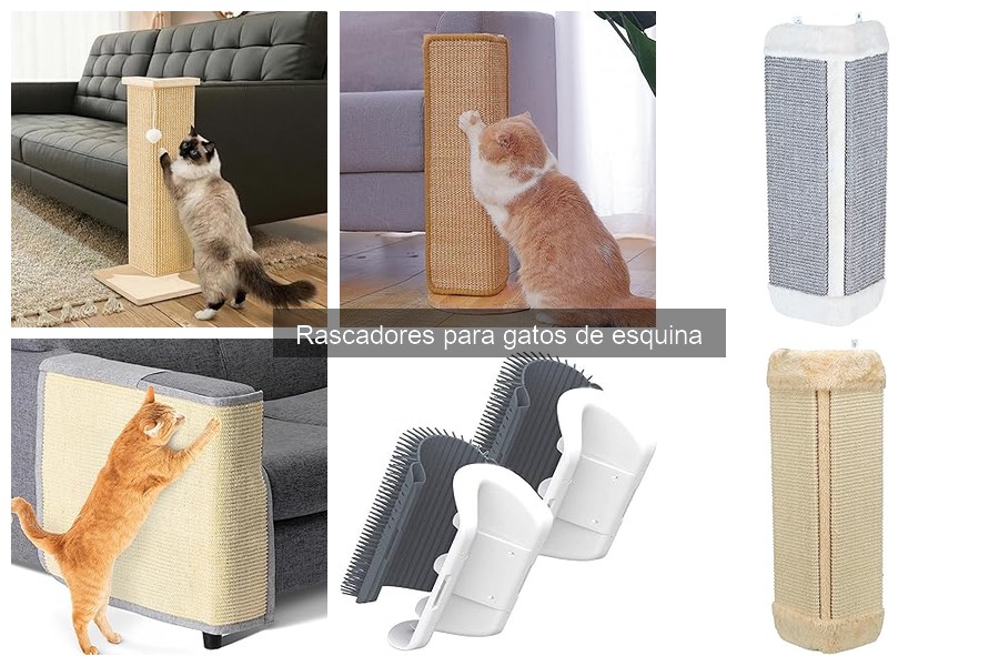 Ventajas y desventajas de los rascadores de esquina para gatos