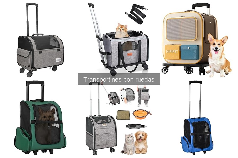 Ventajas y Desventajas de los Transportines con Ruedas