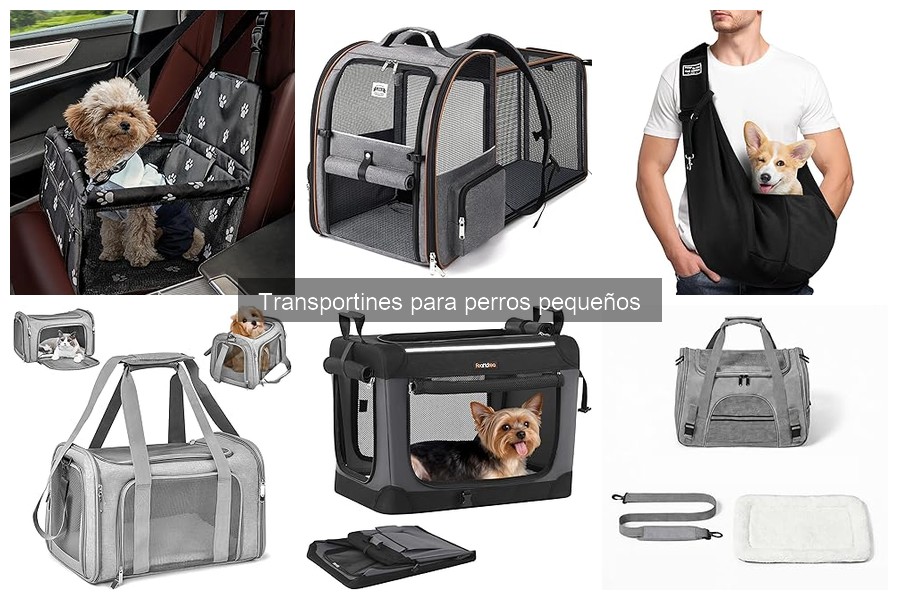 Ventajas y desventajas de los transportines para perros pequeños