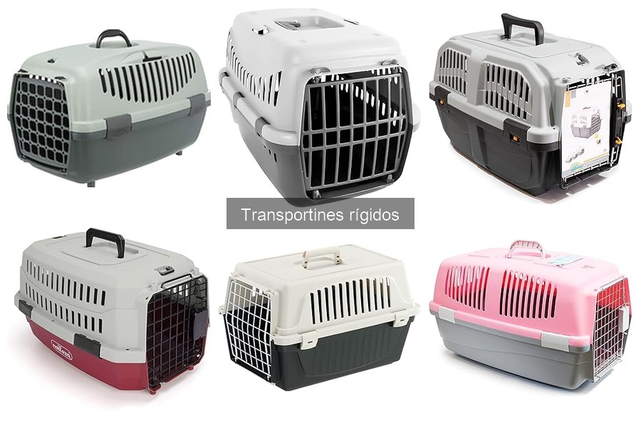 Ventajas y desventajas de los transportines rígidos para mascotas
