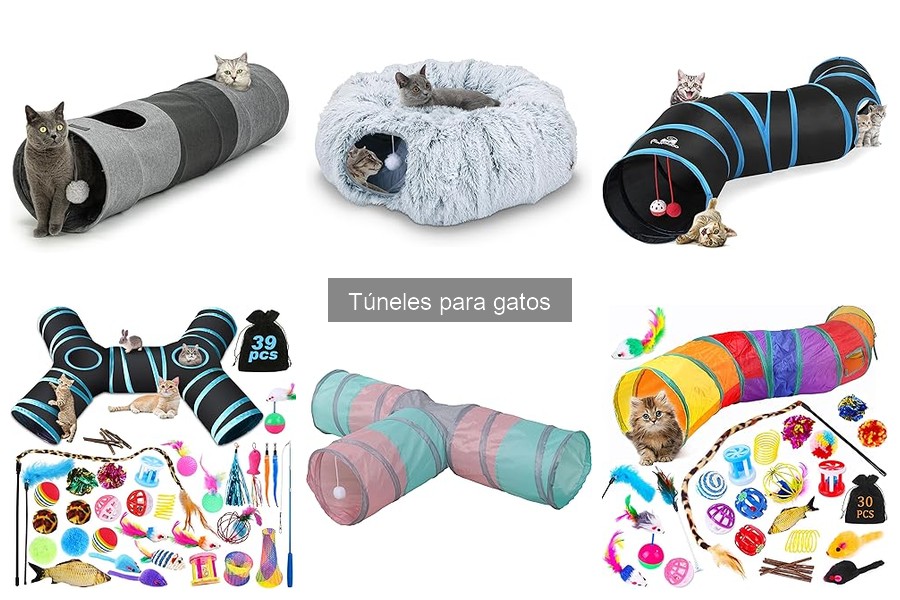 Ventajas y desventajas de los túneles para gatos