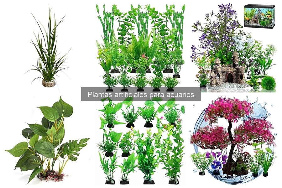 Ventajas y Desventajas de Plantas Artificiales en Acuarios
