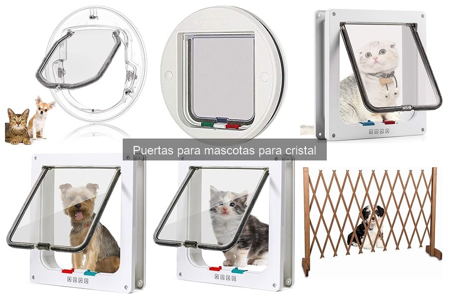 Ventajas y Desventajas de Puertas para Mascotas de Cristal