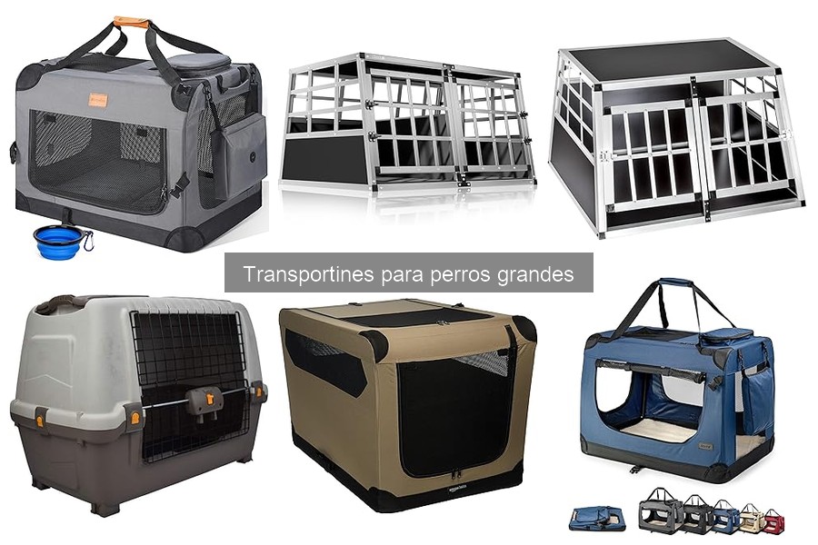 Ventajas y Desventajas de Transportines para Perros Grandes