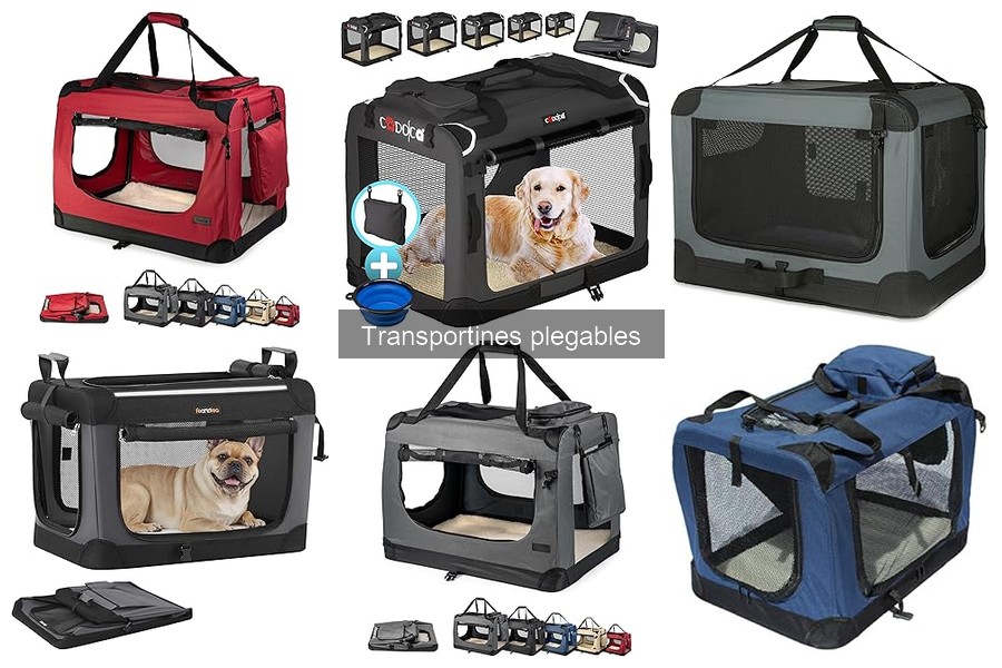 ** Ventajas y Desventajas de Transportines Plegables para Mascotas