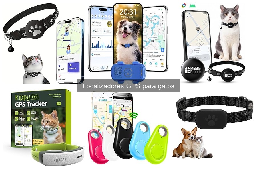 Ventajas y desventajas de un localizador GPS para gatos