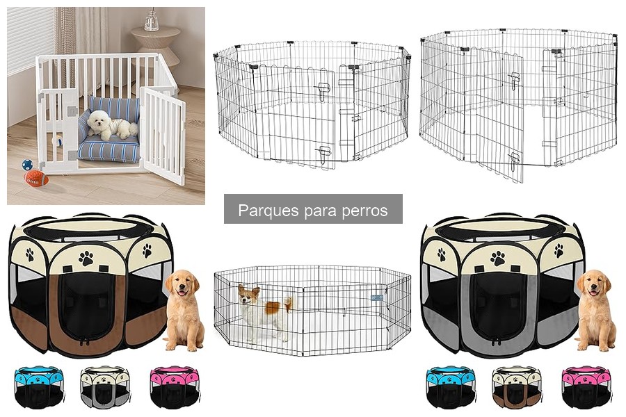 Ventajas y desventajas de un parque para perros