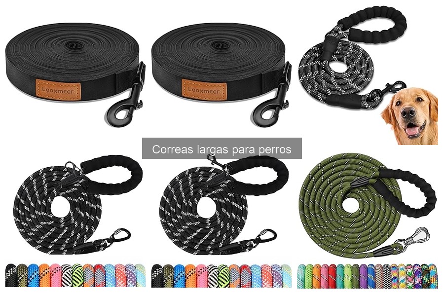 Ventajas y Desventajas de Usar Correas Largas para Perros