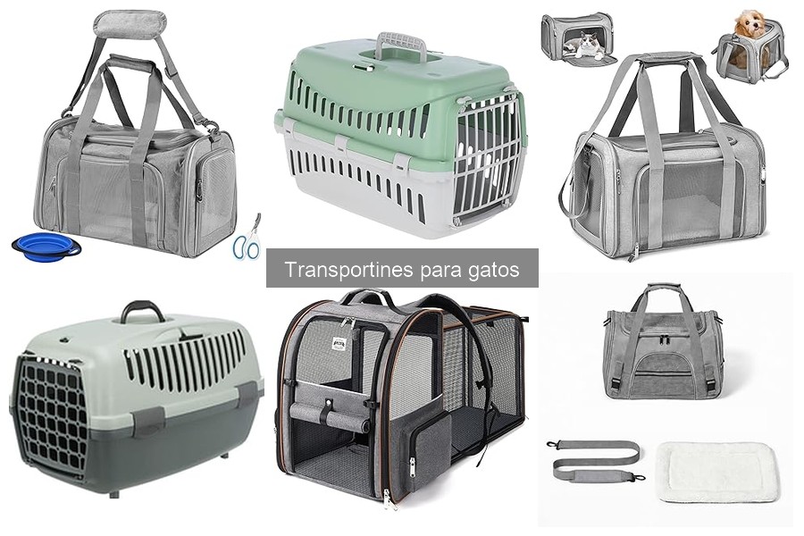 Ventajas y desventajas de usar transportines para gatos